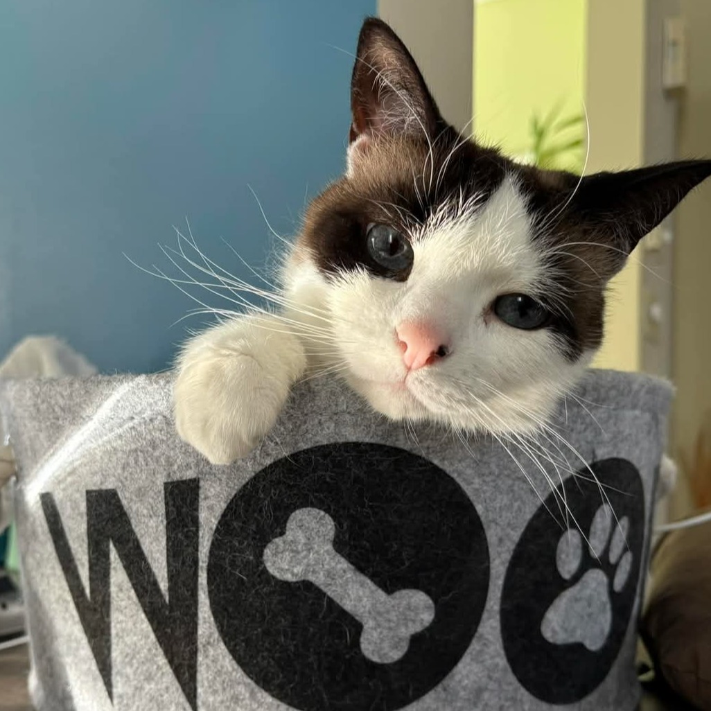 Image du participant